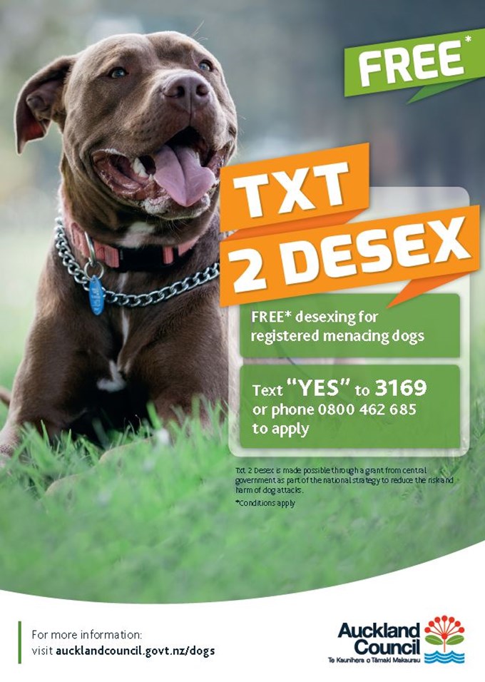 TXT2DESEX (1)