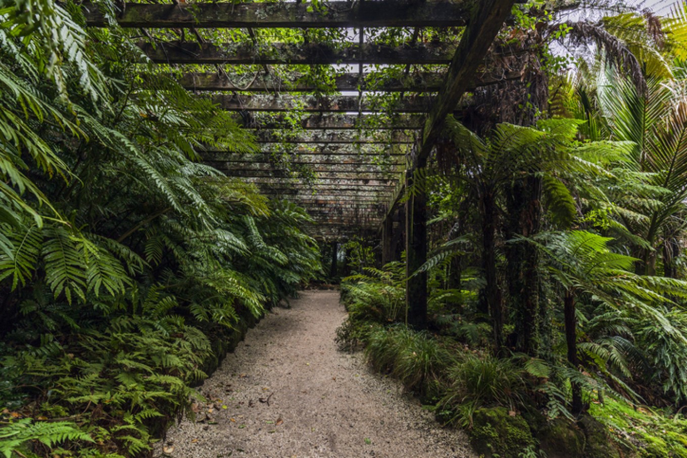 The coolest spots are where ferns grow. The fernery at Pukekawa Auckland Domain’s Wintergarden is built on the site of a former quarry.