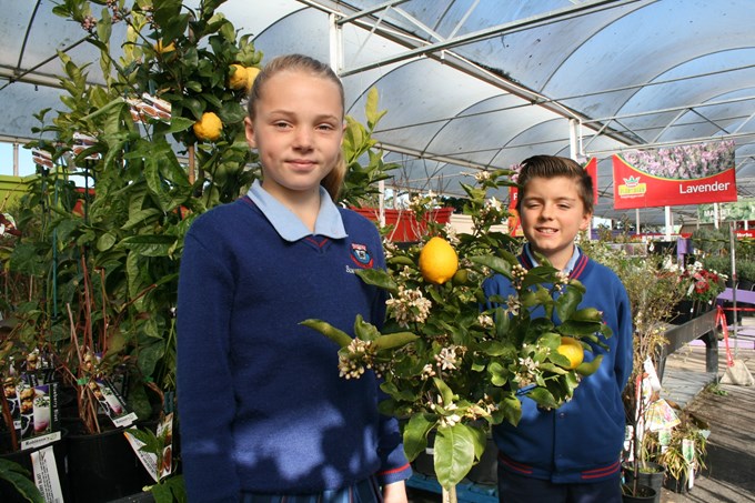 Fruit trees project to boosting health and wellbeing