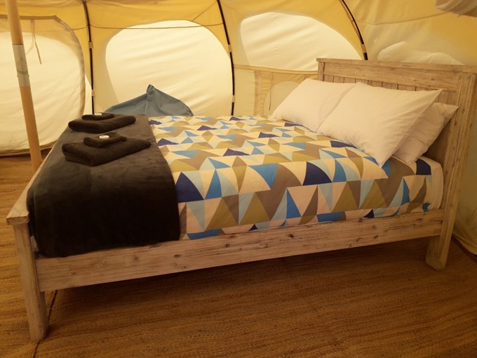 Glamping is back! (1)