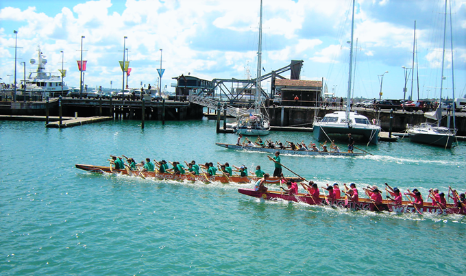 Dragon boating supported by Waitemata Local Board