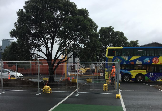 Quay Street Cycleway Extension works