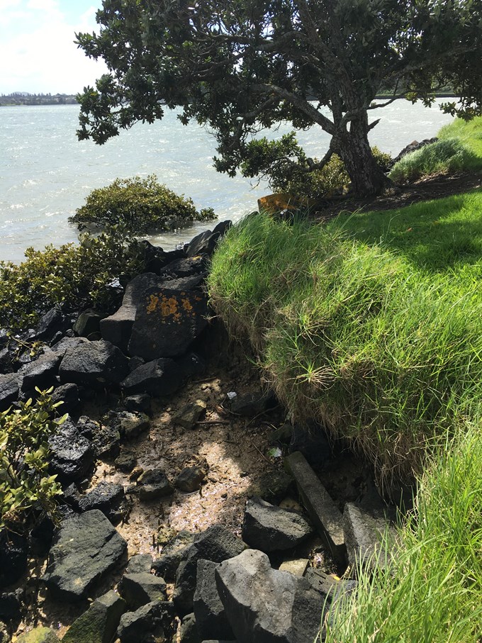 Seawall repair in battle against coastal erosion2