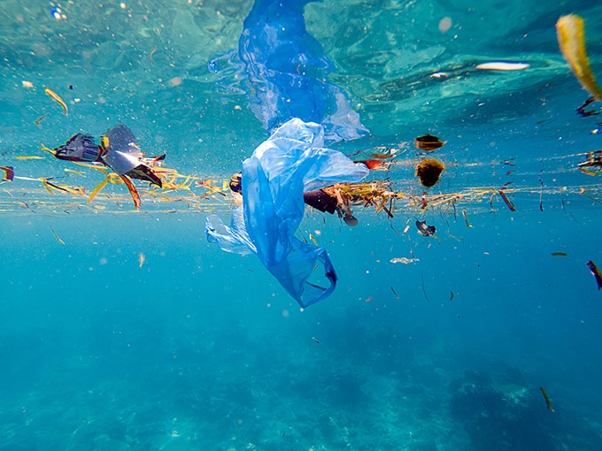 Single use plastic marine pollution