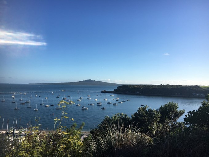 Improving water quality in Okahu Bay