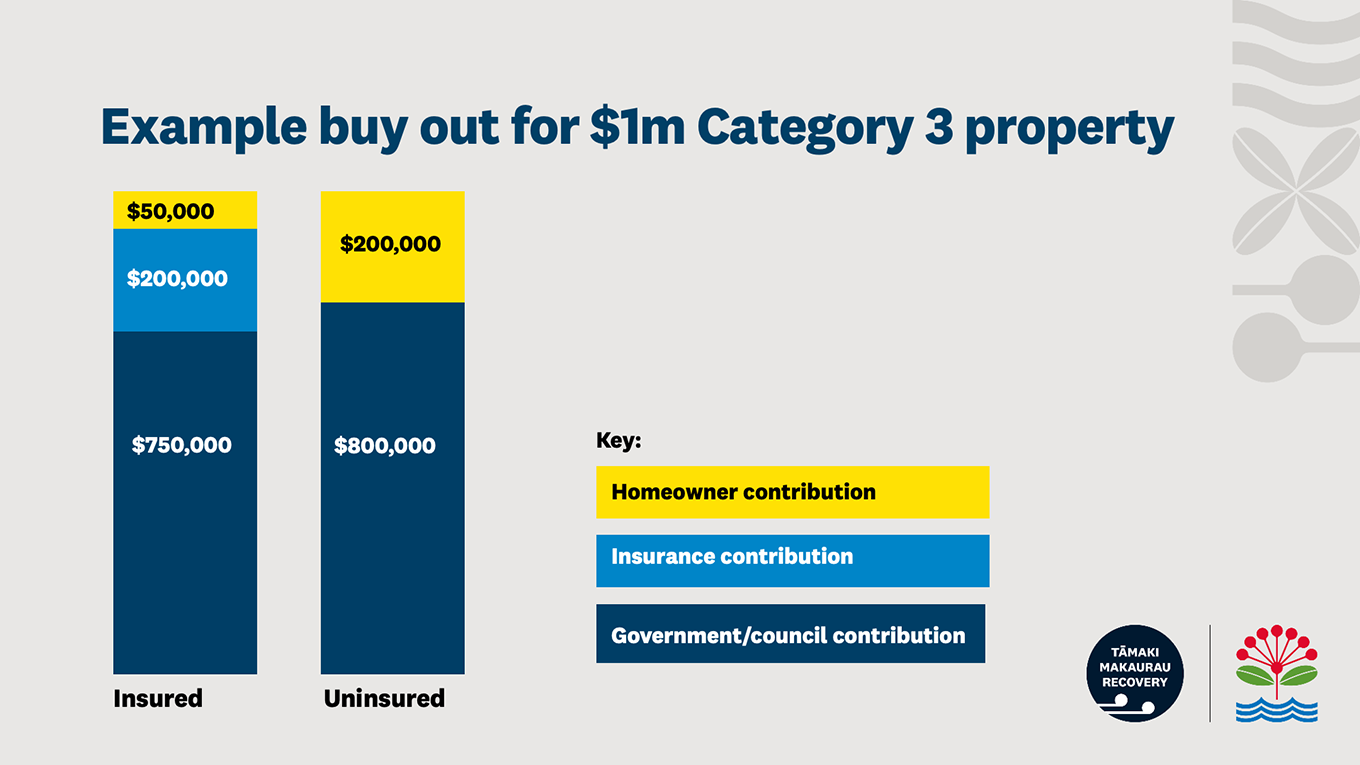 Example of a buyout for a $1m category 3 property