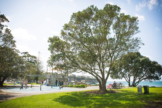 Give feedback on how parks are managed in Hibiscus and Bays