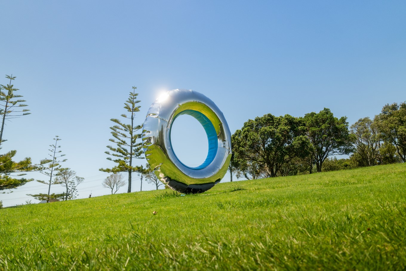 If you’re heading past Oruamo Domain in Glenfield look out for David McCracken’s playful sculpture Soft Focus … Summer’s Day rolling down the hill.