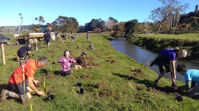 Rodney community lends a hand to help plant Kaipara River