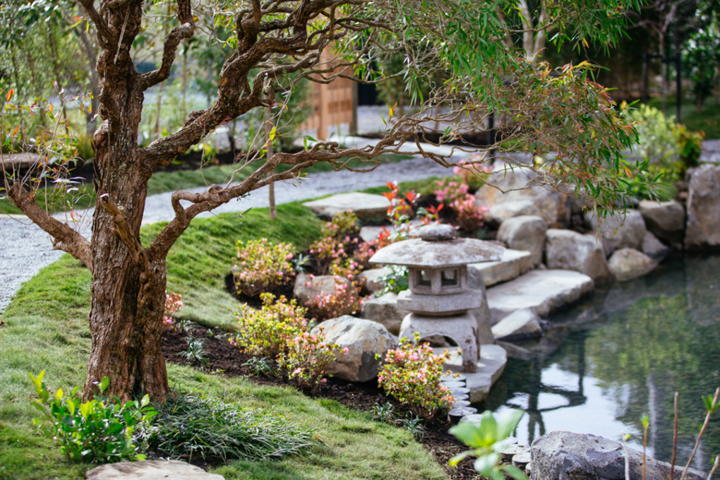 Best spots to meditate in Auckland