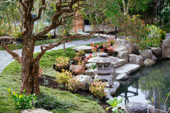 Best spots to meditate in Auckland