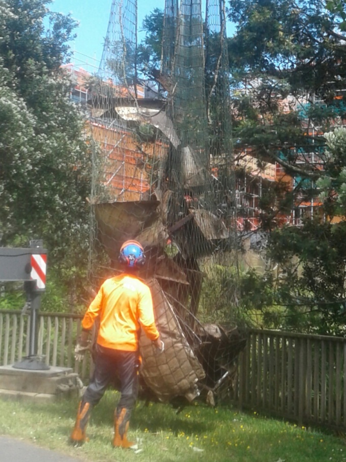 Locals lead the charge to protect Wairaki Stream (2)