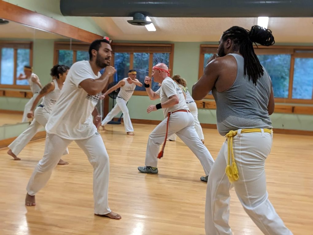 Capoeira Class group_z0phlayg.jpeg