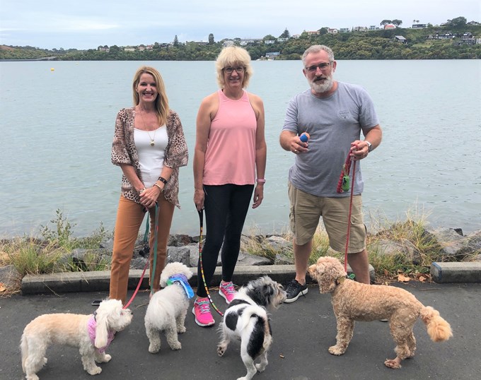 Water testing shows Orakei Basin safe for people and dogs