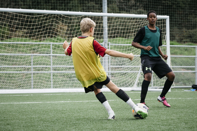 Five years as a united Auckland - Part 5: Sports fields