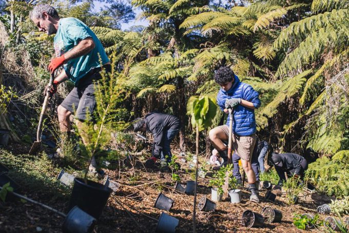 2408-Sunnyside-Stream-Planting-0060-2k-1000x667_ttf4gaqv.jpg