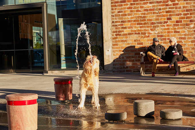 Panuku Tiramarama Lane 0270