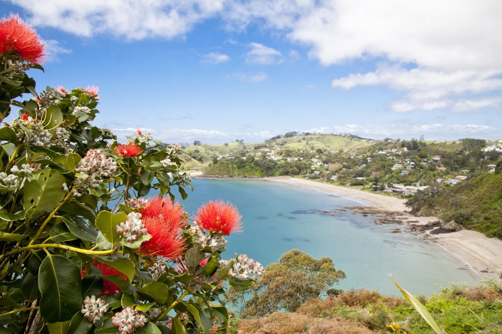 Waiheke Island named as a top 10 region