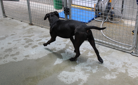 Mangatanoka tile image