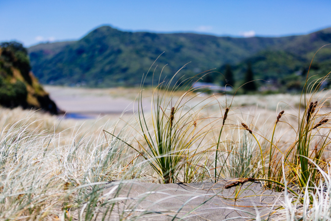 Waitakere Ranges Heritage Area