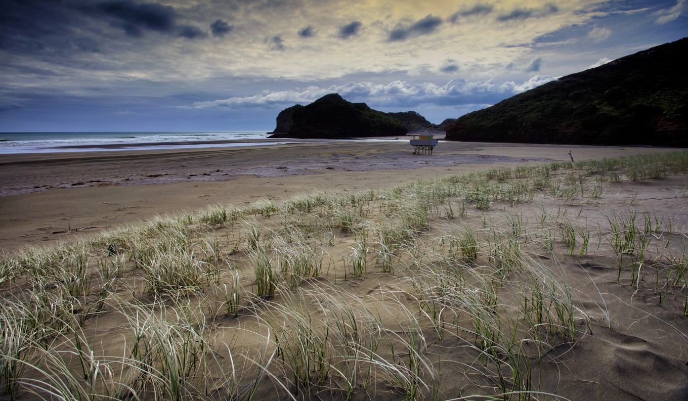 Bethells Beach.