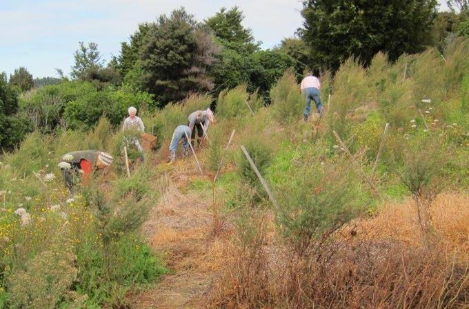 bushmenpitchinatparrykauripark