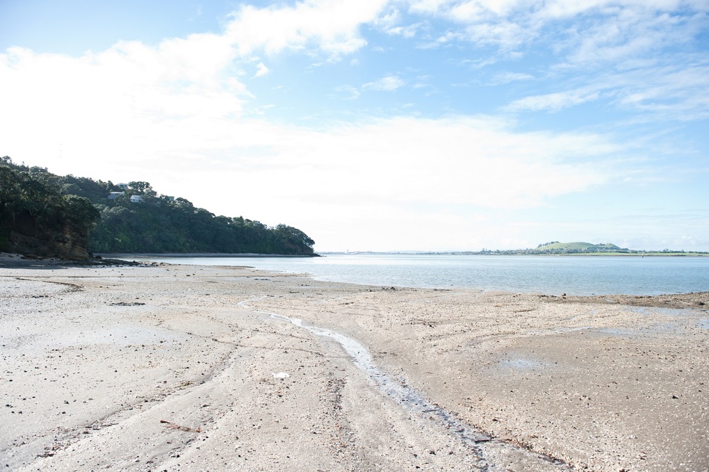 Coastal Adaptation Plans
