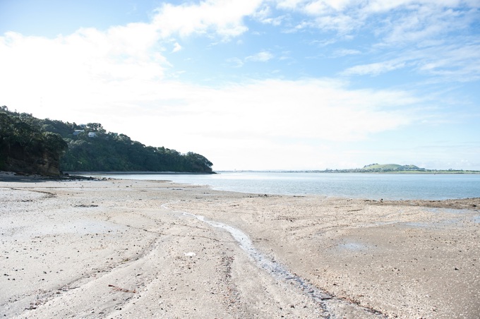 Coastal Adaptation Plans