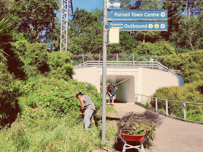 Waipapa Regeneration Day (2)_wn0f0zfx.png