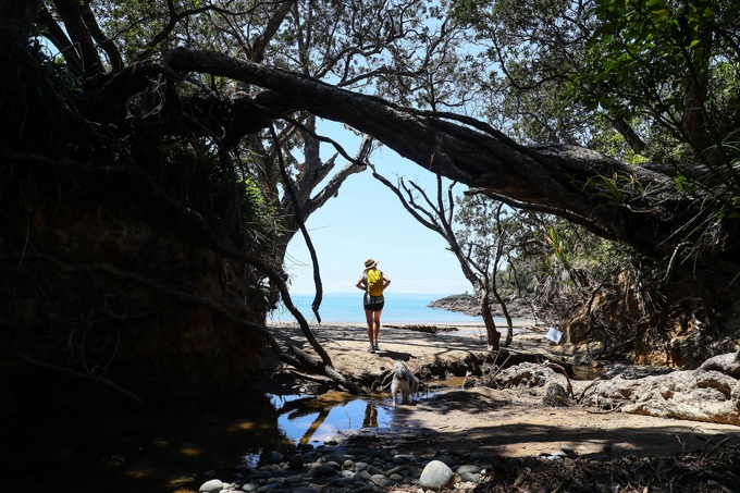 Get together on these east Auckland walks (8)