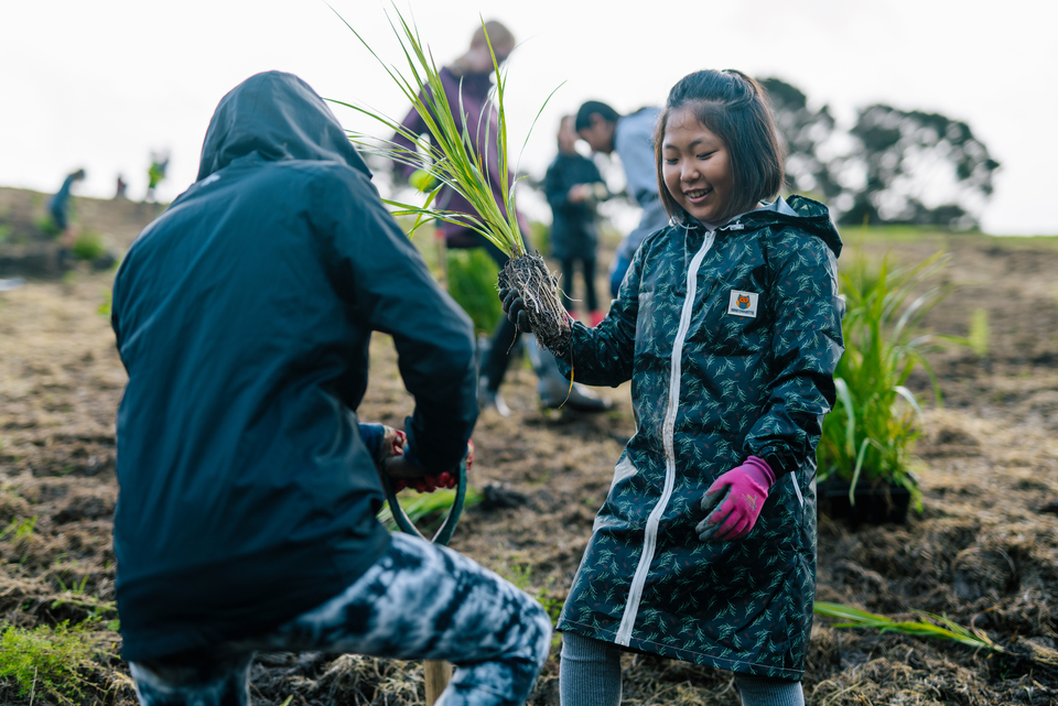People replanting plants in the community. 