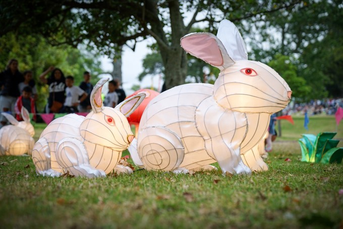 Lunar New Year Rabbitt Lantern