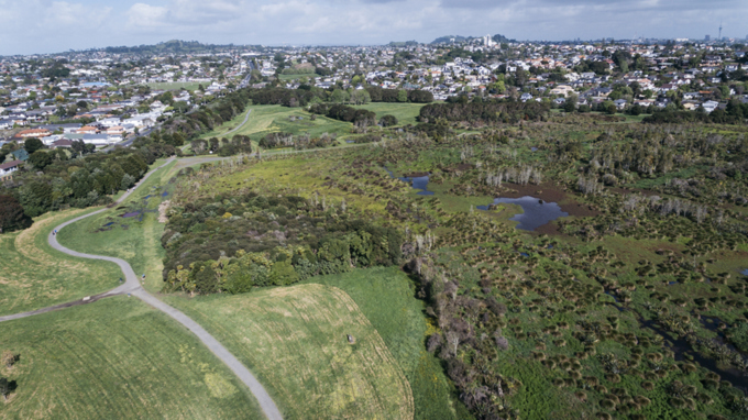 Orakei Local Board grants lease to Men’s Shed