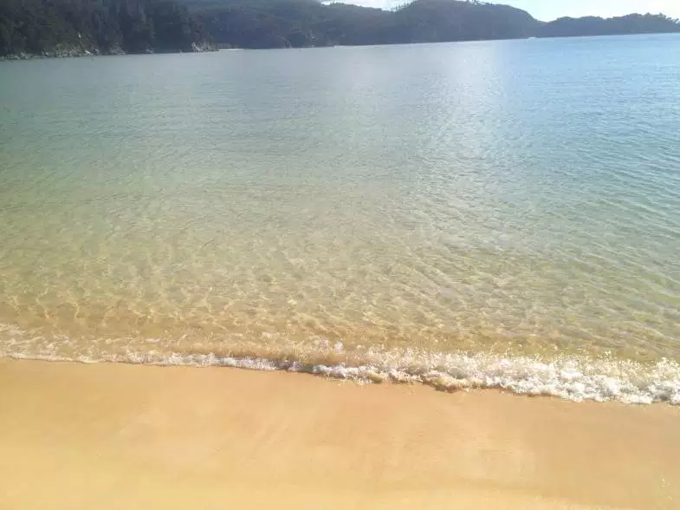 Young Aucklander champions plastic-free kaupapa