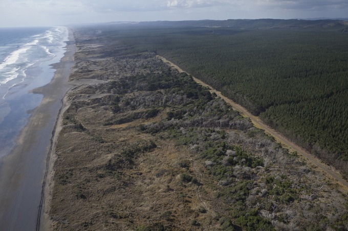 New vehicle management measures for Muriwai Beach 1