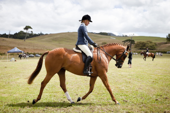 North Rodney Unitary Council proposed