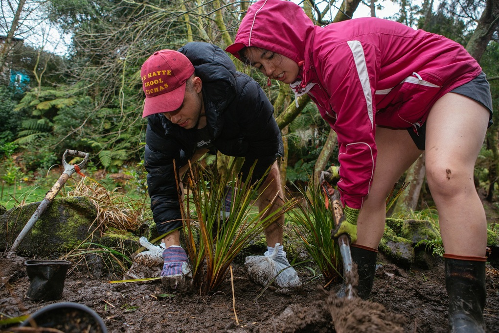 Help keep your backyard thriving this autumn