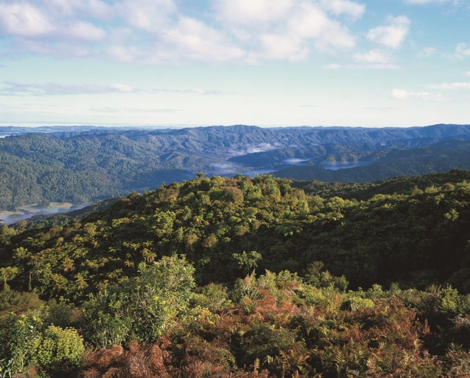 Aerial View Of Te Ngāherehere O Kohukohunui Hūnua Ranges V1