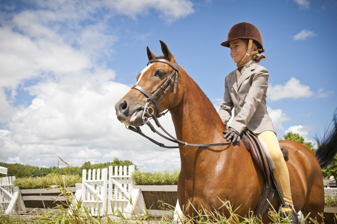 Spotlight on our neighbourhoods – Franklin (1)