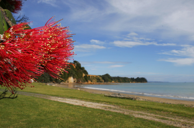 Tapapakanga Regional Park.
