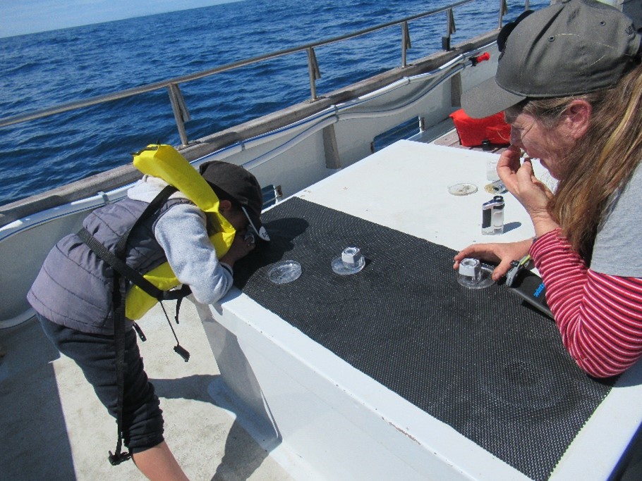 Aotea / Great Barrier students water testing