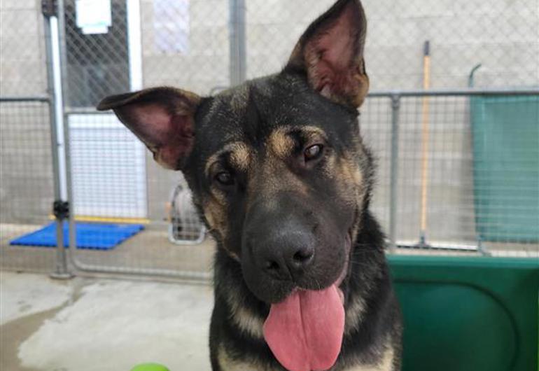 54De346b 586C 43Bf 9086 6E6504bc6a4d