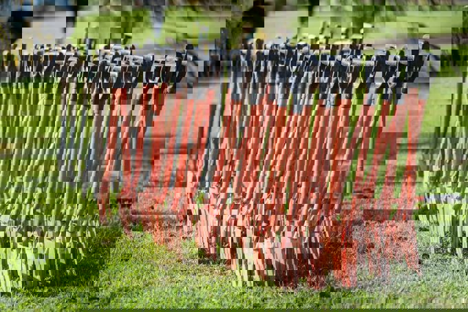 Plant a tree at Te Kori Scott Point