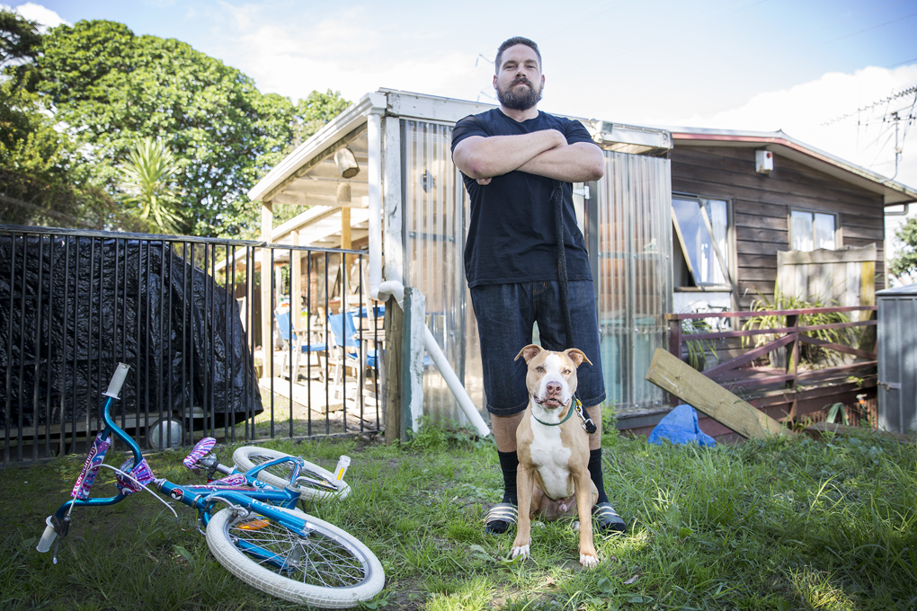 Menacing dogs amnesty