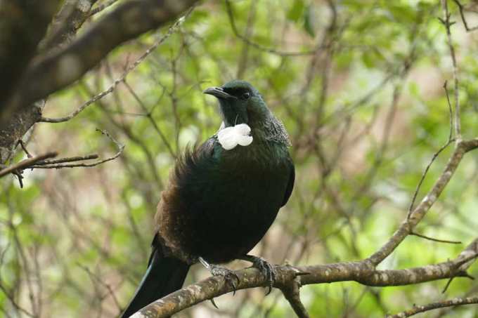 Birkenhead Photo Competition Peoples Choice Winner