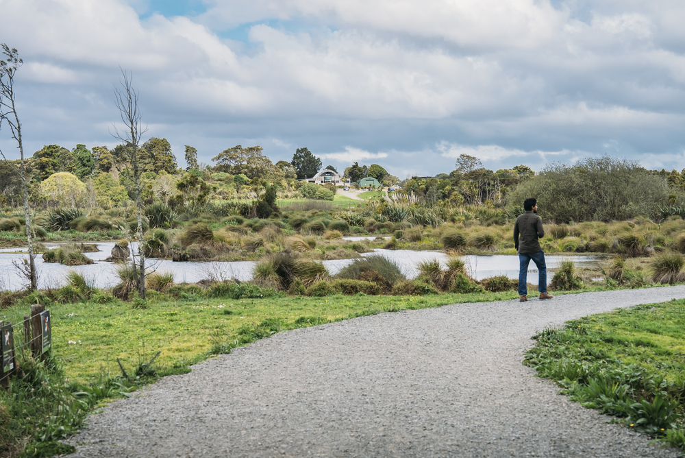 A man walking down the path at Waiatarua Reserve.