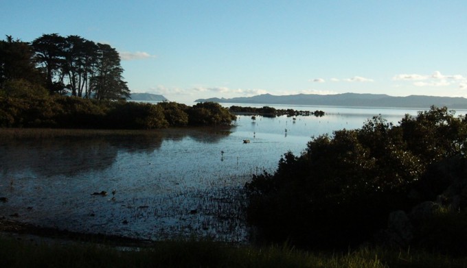 17 things to do in spring 4