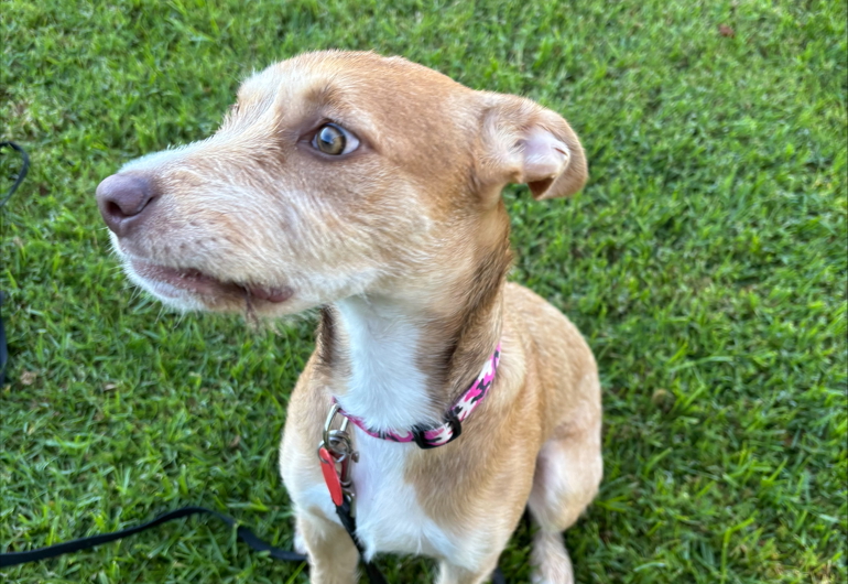 Processed BD15CBAA 62A8 4381 9A9E 4EF818515604