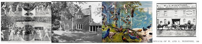 Untitled design (3)_o3vciqf4.jpg