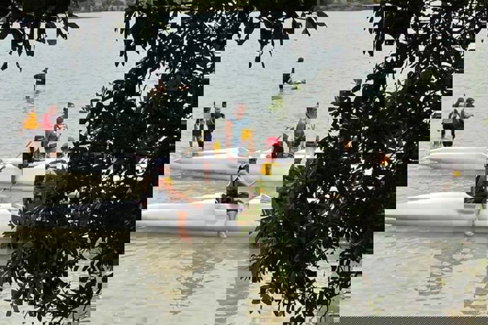 tamaoho _hoea2_qh2la1na.jpg